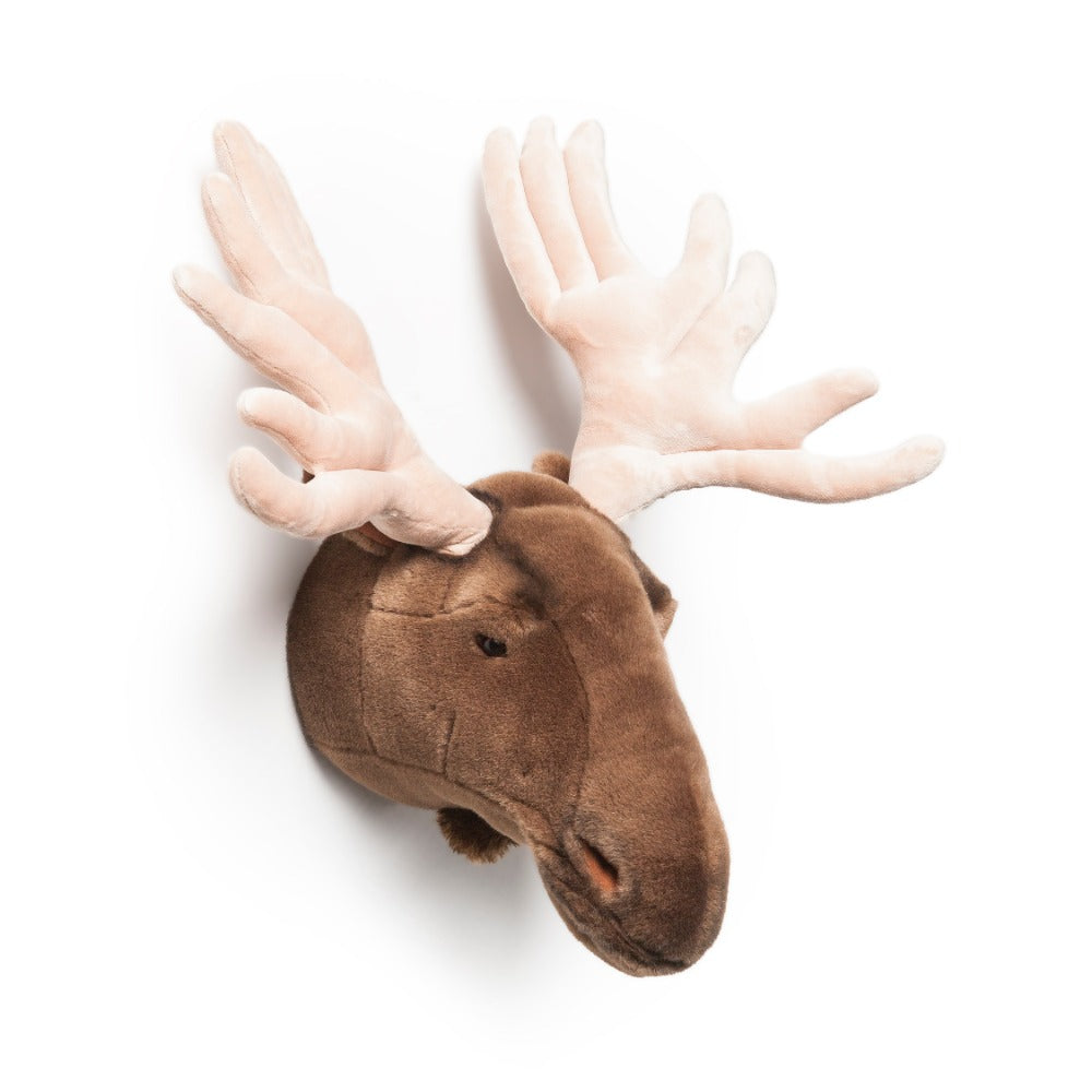 Alfred the moose