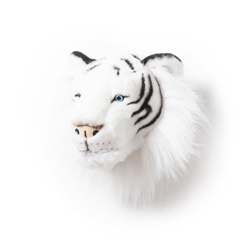 Albert the white tiger