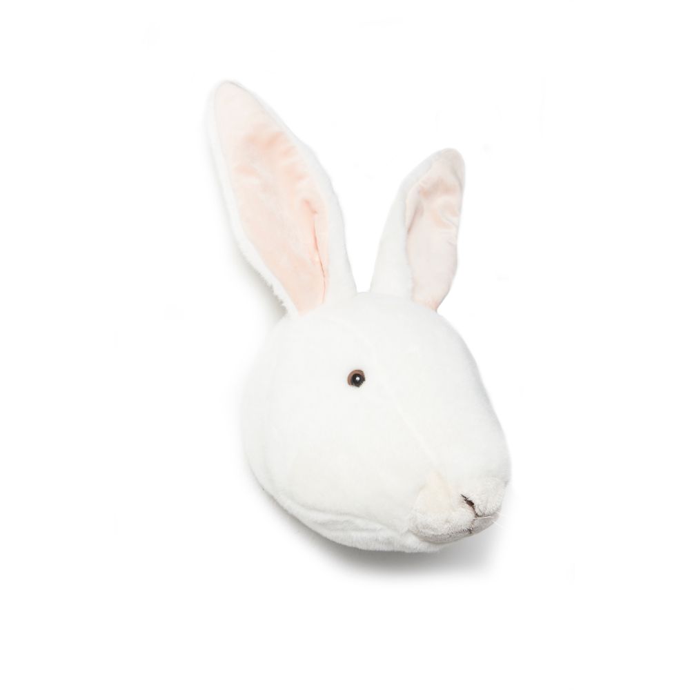 Alice the white rabbit