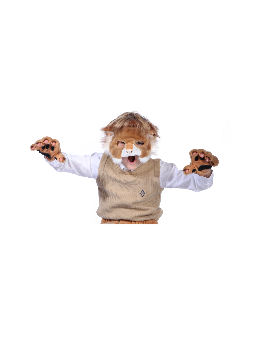 Set d'habillage Lion